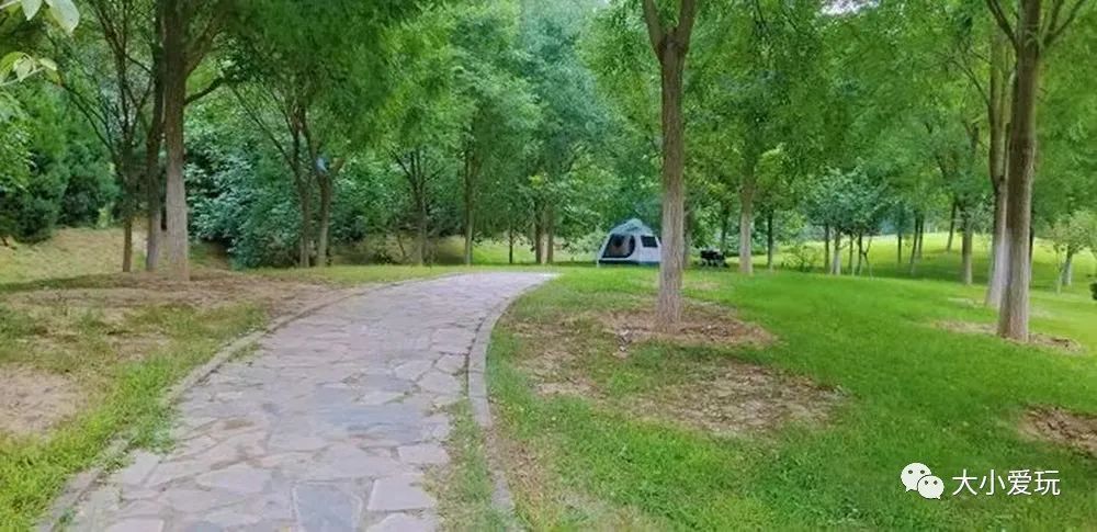 北京花海休闲公园,帝都游乐场