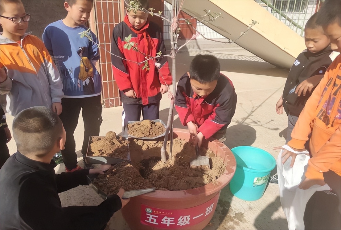 做好三件事推动教育高质量发展,扎实做好双减工作让学生过好假期