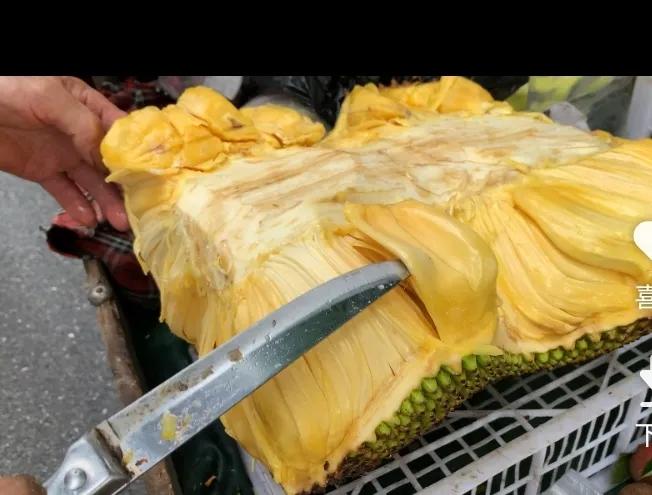 去年花一年时间尝试的五个小生意之一：卖菠萝蜜