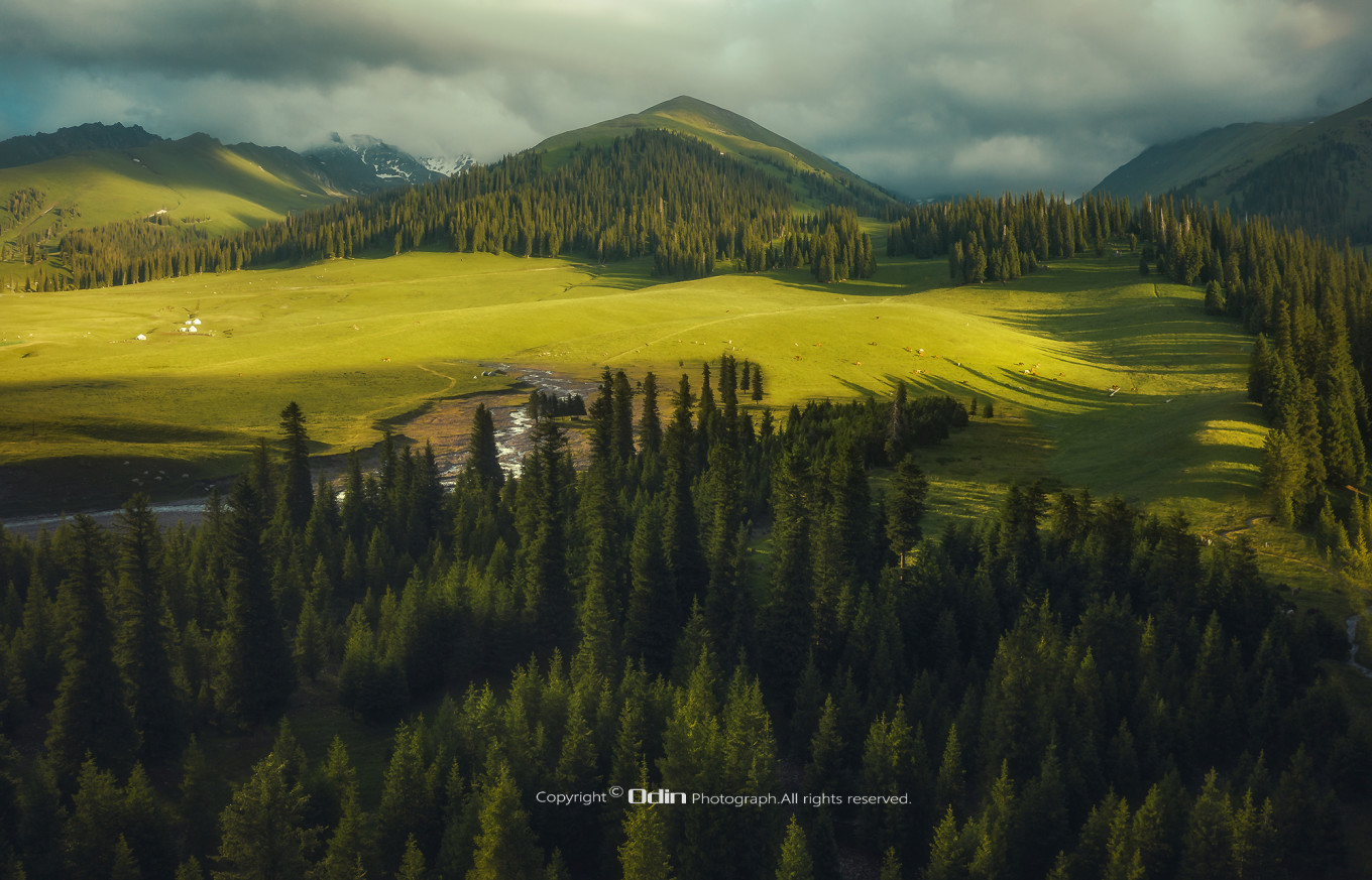 新疆伊犁之美,走了一圈才发现世界万物远不及你