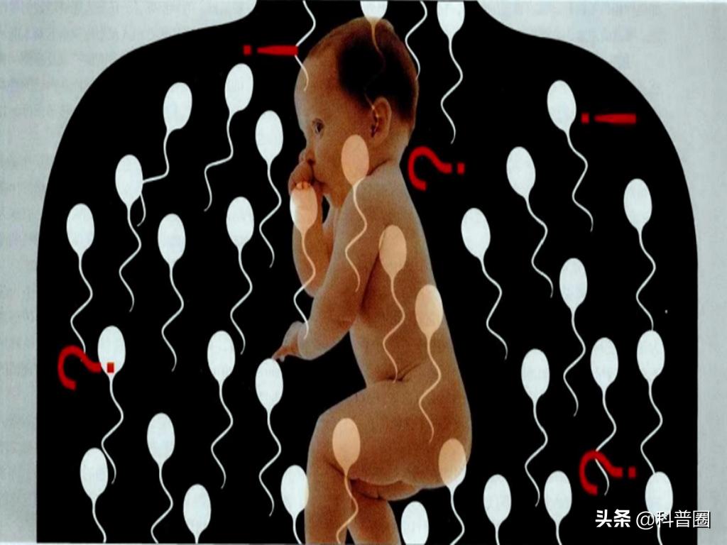 科学家精子运动违背牛顿第三定律,科学家发现精子的作用