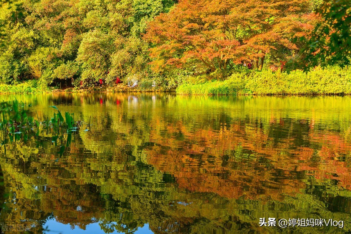 杭州周边自驾游攻略小众景点,杭州小众游最佳攻略