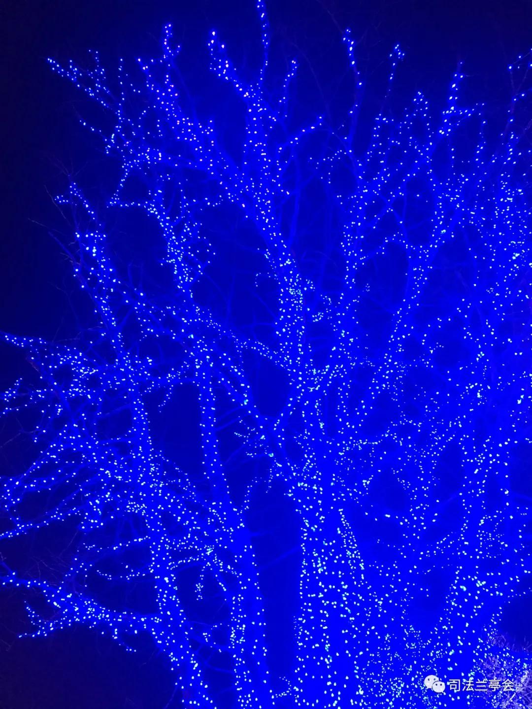 证据法中的证明责任,证据法证明责任