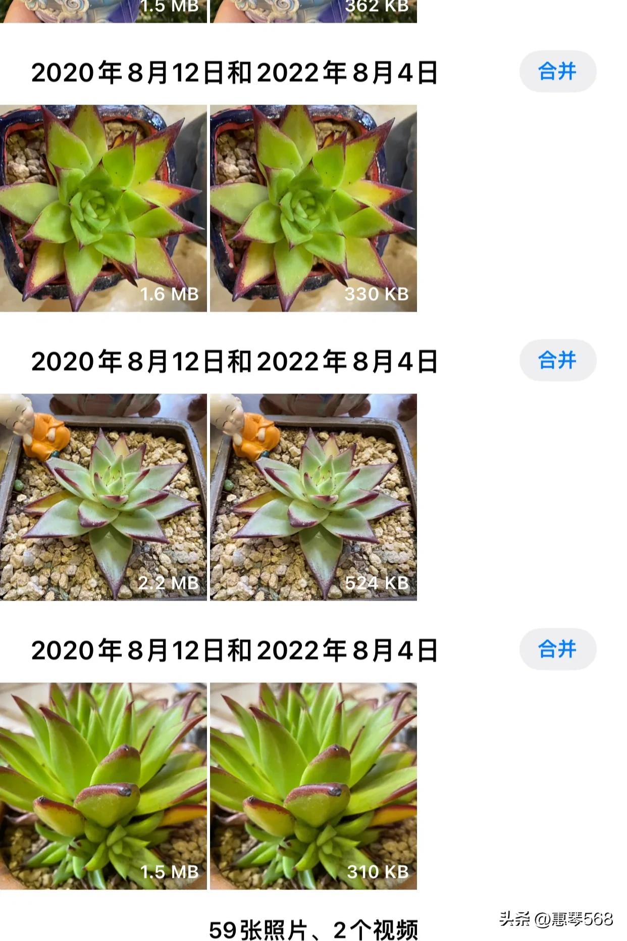 我的照片全部删了怎么找回来,我的照片图库在哪里