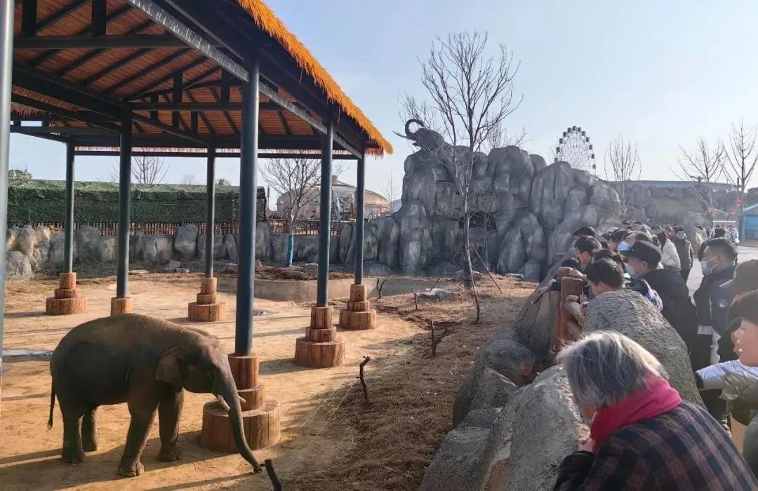 徐州春游野餐的好地方推荐,徐州最新春游推荐