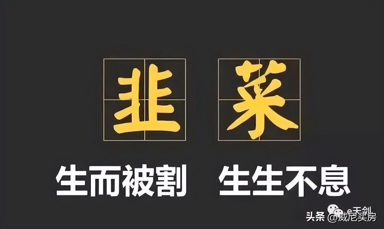 韭菜盘！南山悦时光，你在坪山呀