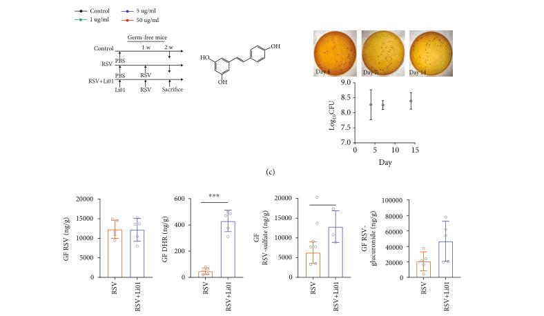 科研人员李兰娟,医学专家李兰娟院士