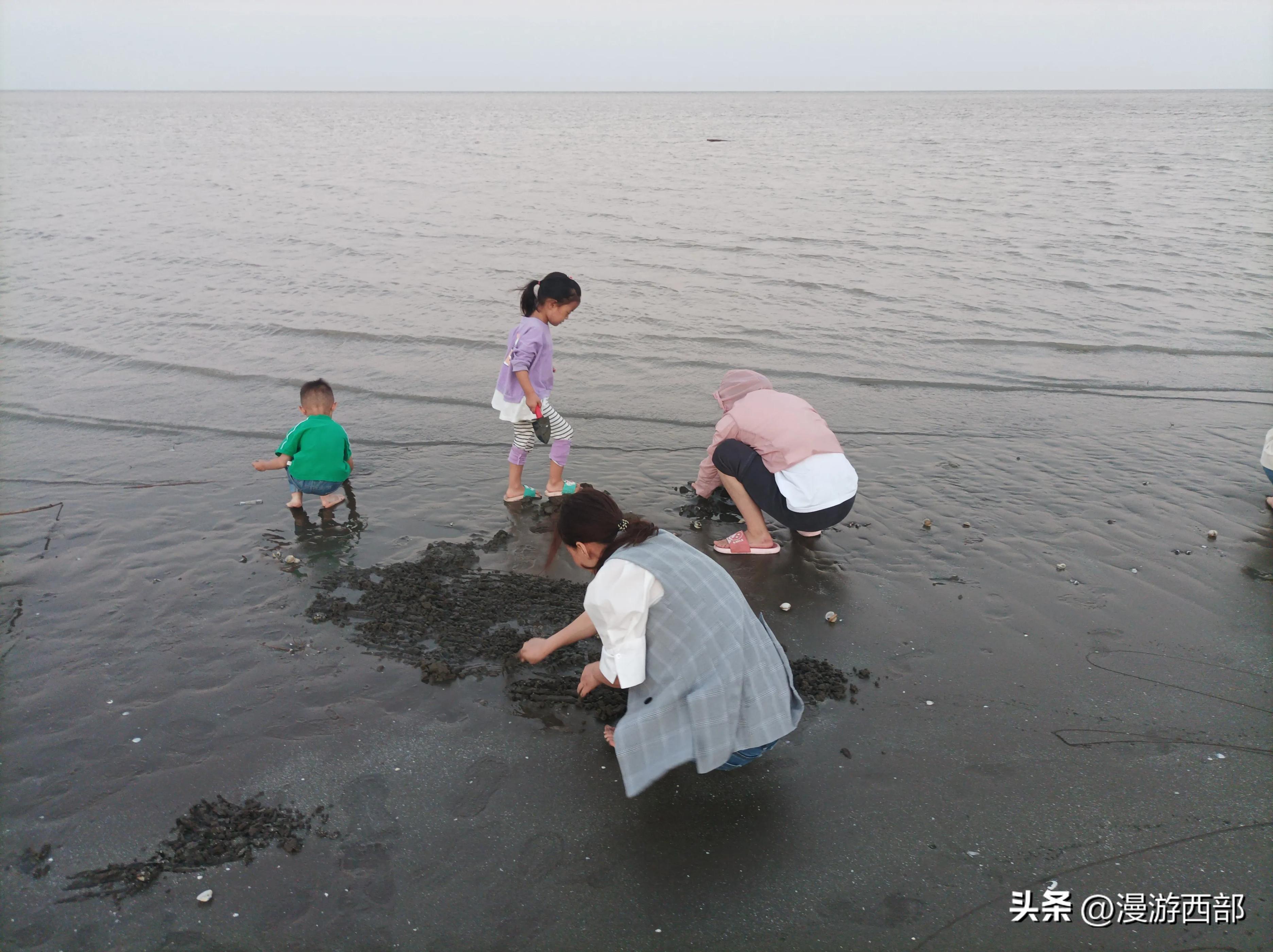 上海踏青一日游推荐,五一上海周边春游攻略