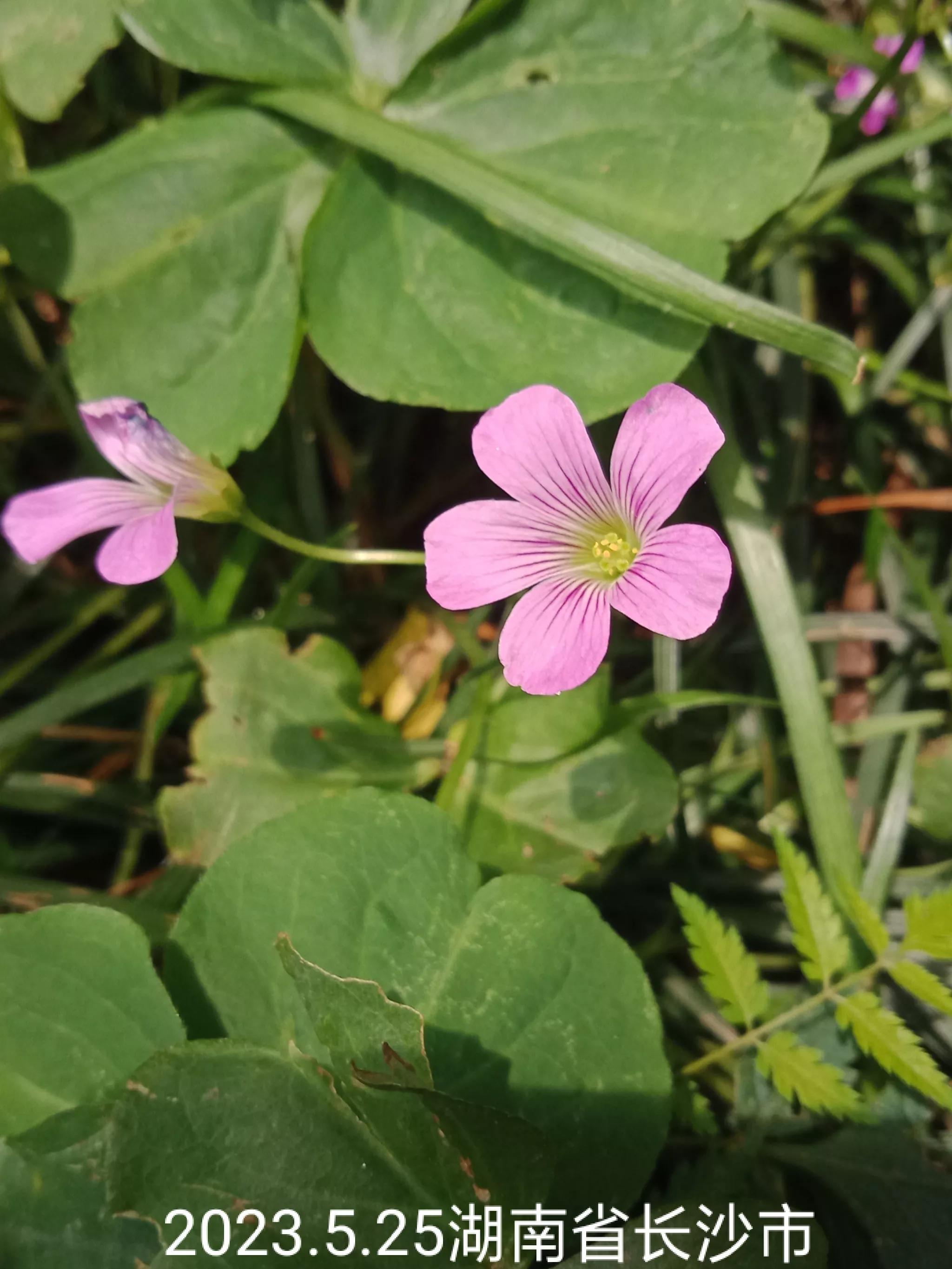 怎么找回没保存丢失的微信群,怎么找回没有保存的微信群