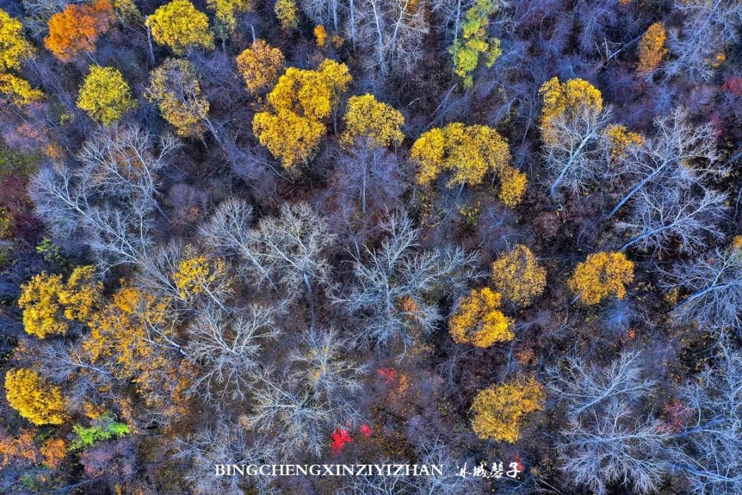 秋天大兴安岭最美的地方,秋天美丽的大兴安岭