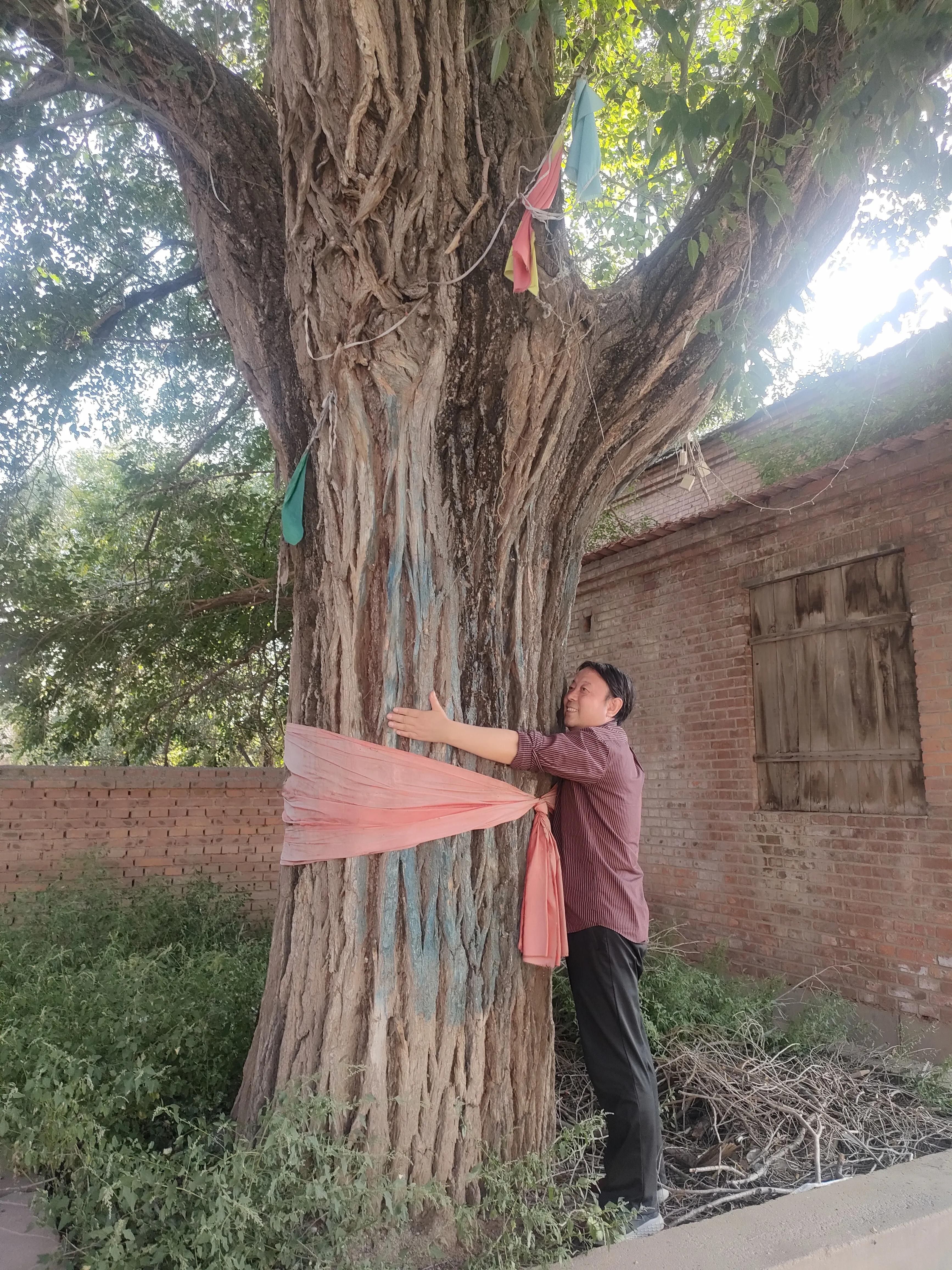 寮犲鍙ｅ競瀹ｅ寲鍘挎潕澶т汉搴勬潃浜烘,瀹ｅ寲鏉庡ぇ浜哄簞鍦板悕鏉ュ巻