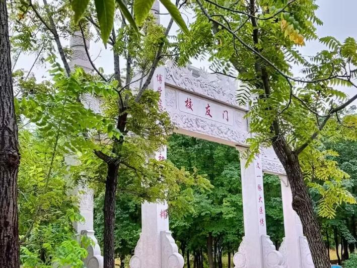 山中医的五行之美