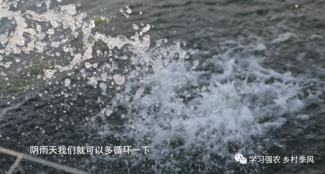 王振民的“蛭”富经