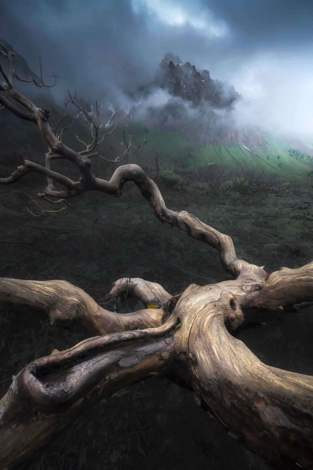 户外拍摄，当然要更“轻”一点——老蛙12-24mm