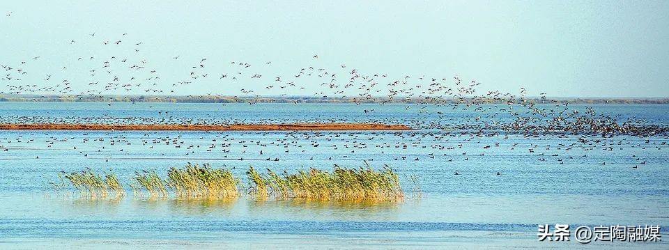 赏美景观非遗,赏美景尝美食