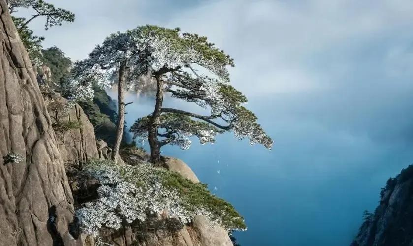 如何才能成功创业,如何才能成功戒赌