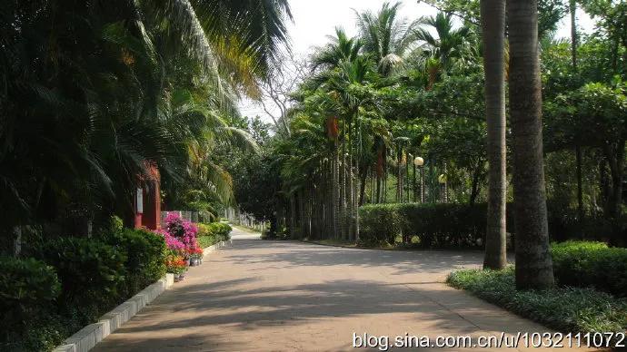 风情三亚之六：兴隆热带植物园