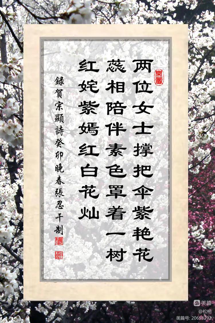 百花园（十六）樱蕾暗香溢