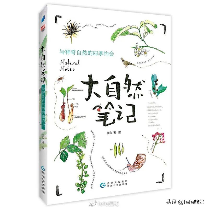 阅读为孩子打开世界的大门,以孩子视角看世界的书籍