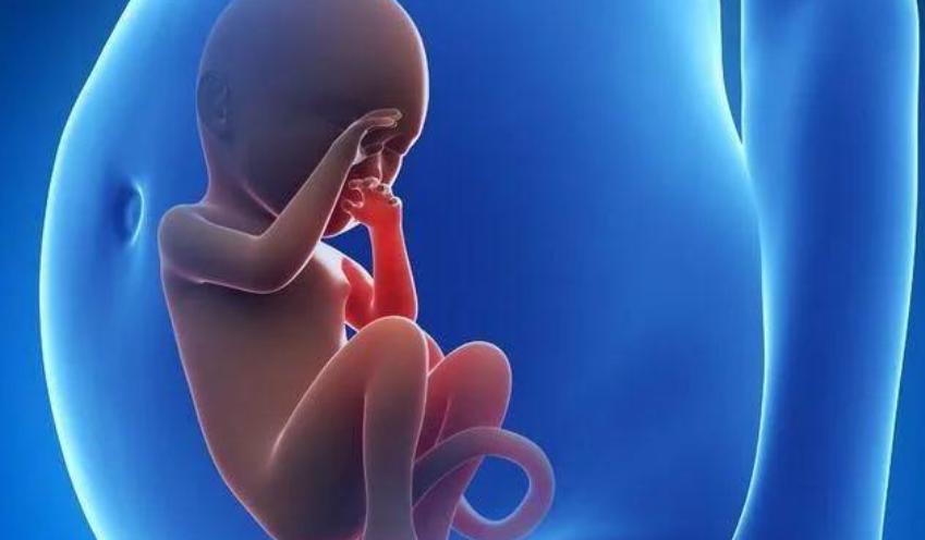 黄体破裂一听就知道是什么,黄体破裂一般都是怎么发现的