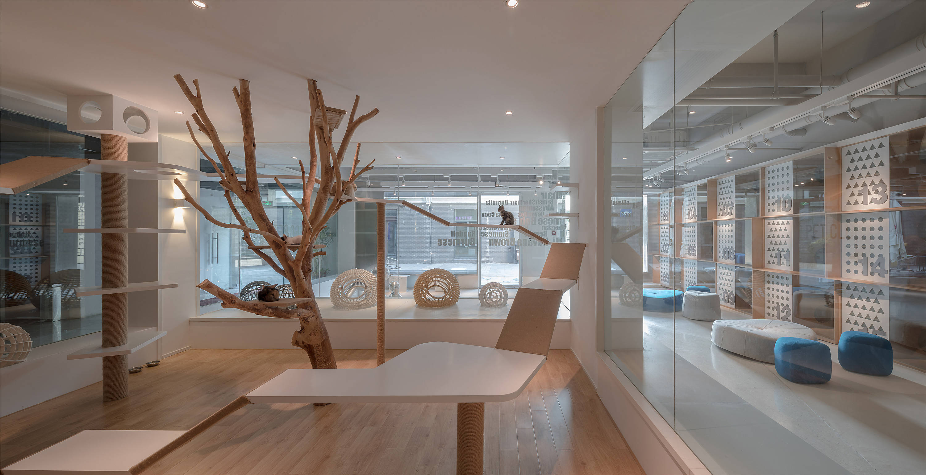 通州宠物店装修设计费用,深圳宠物店设计装修多少钱