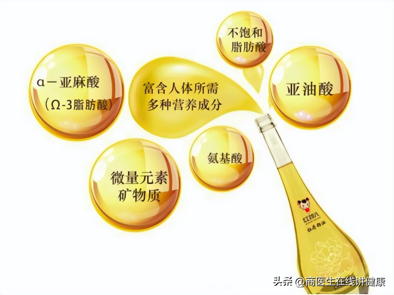 糖尿病饮食指南的最新视频,糖尿病饮食菜谱协和