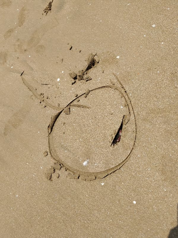 浙江境内蓝色大海,藏在这个与福建交界的小县城,不用坐船就能到