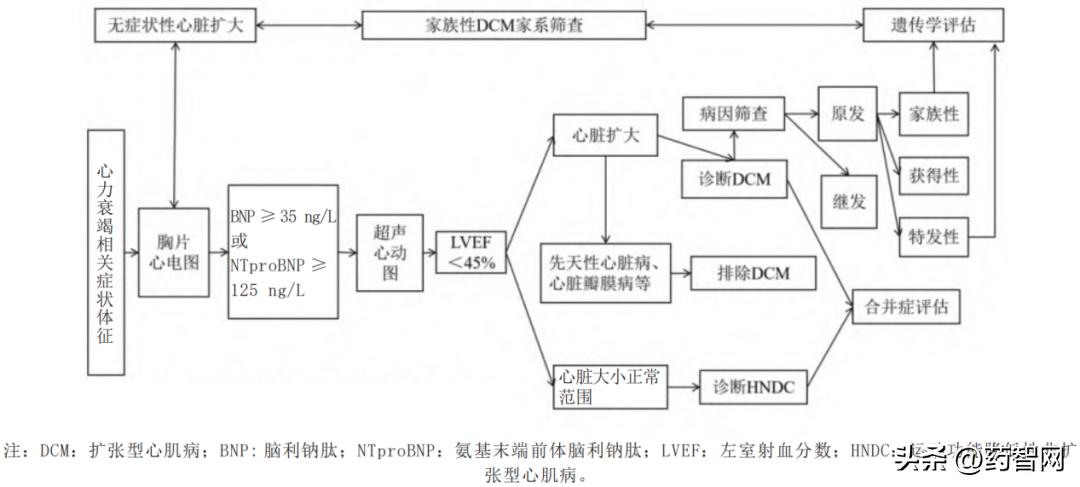 问心后续的治疗完整版,扩心病需要终身吃哪些药