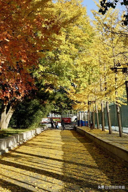 中央民族大学民族团结方阵,中央民族大学民族团结故事