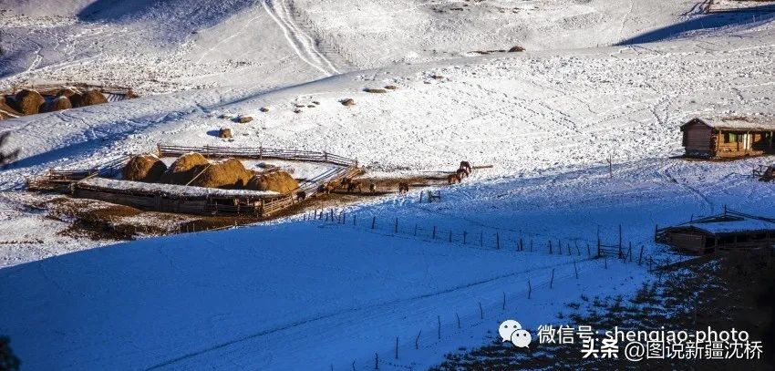 探寻琼库什台,琼库什台冬日河水