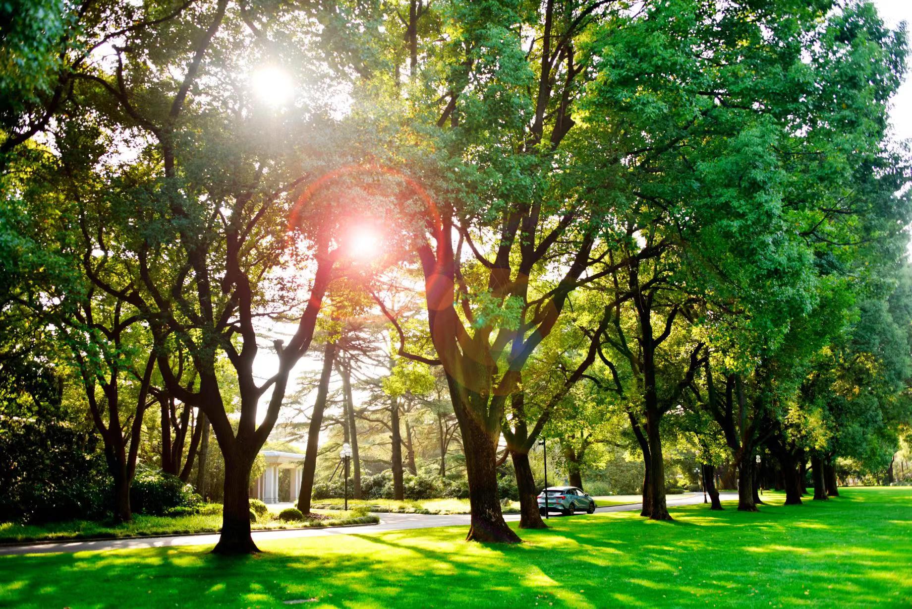 上海西郊花园酒店,上海温馨度假酒店