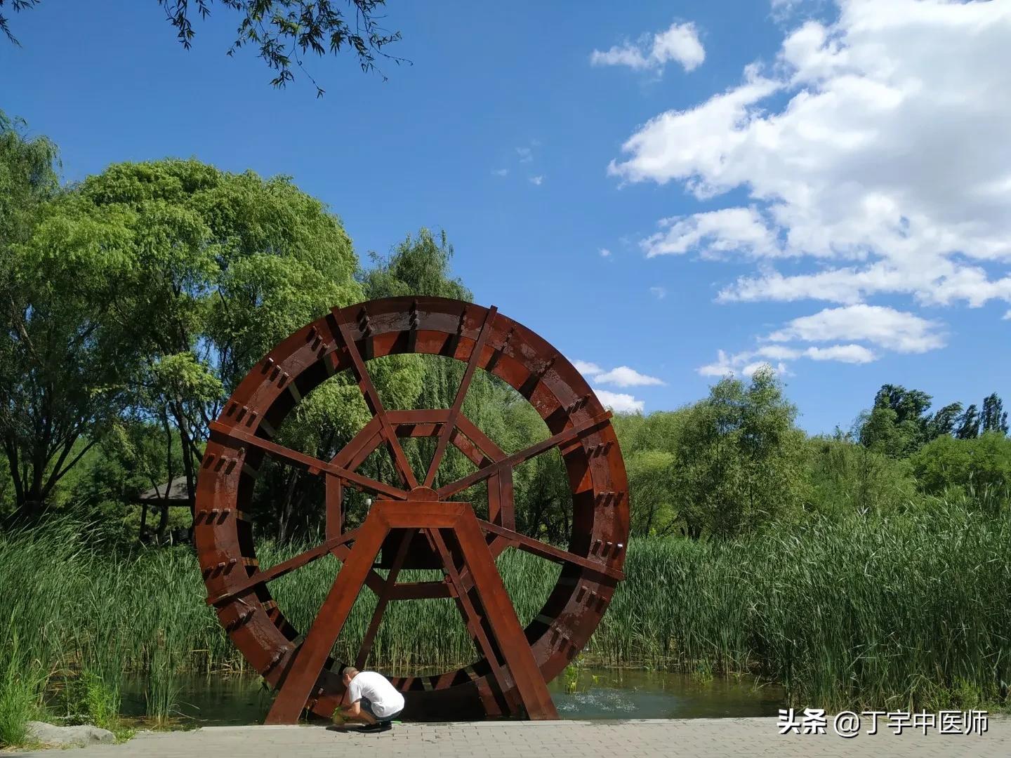 金匮要略脉证治第三——百合病是什么