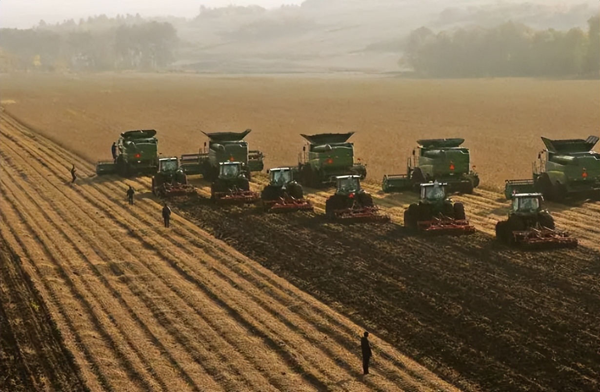 北大荒为什么要退耕还荒,北大荒退耕是什么时候