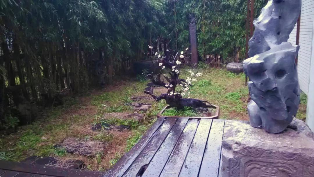 滨江置换房,滨江区二手房还适合购买吗