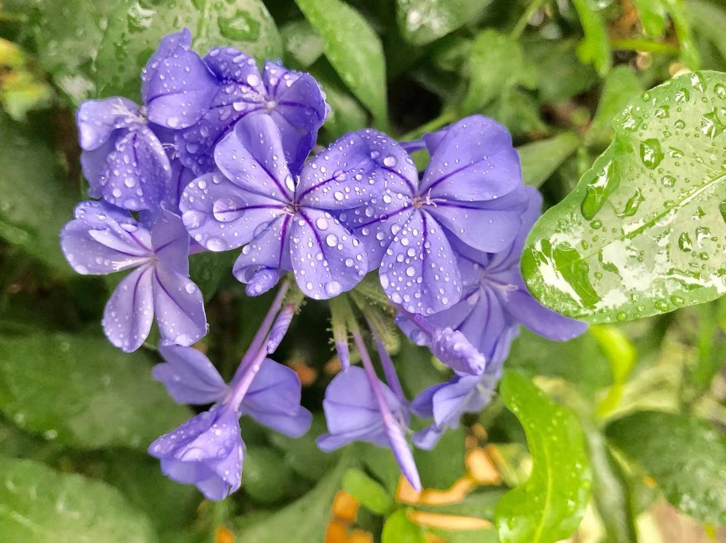 当你害怕某个人怎么办,当你怕的时候怎么办