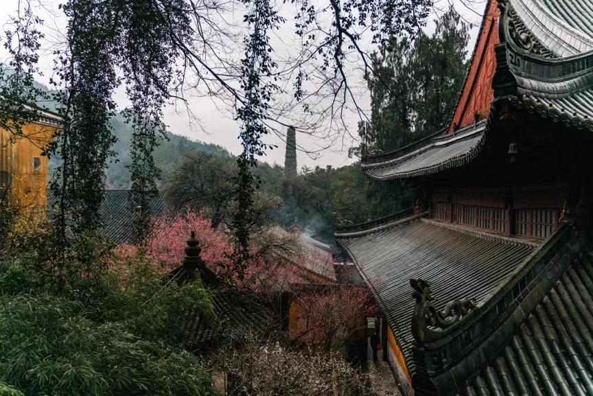 腾龙28-75使用体会,腾龙28-200旅行