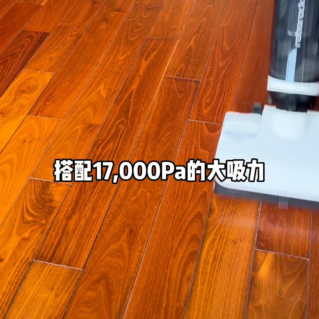 19岁买的房子，今天就带着我的清洁小分队去开荒啦#石头...