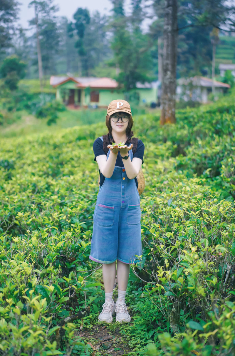 斯里兰卡旅游攻略必去景点,斯里兰卡旅游攻略最佳时间