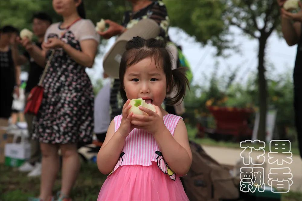 北方百果园种植种类,百果园水果品种介绍