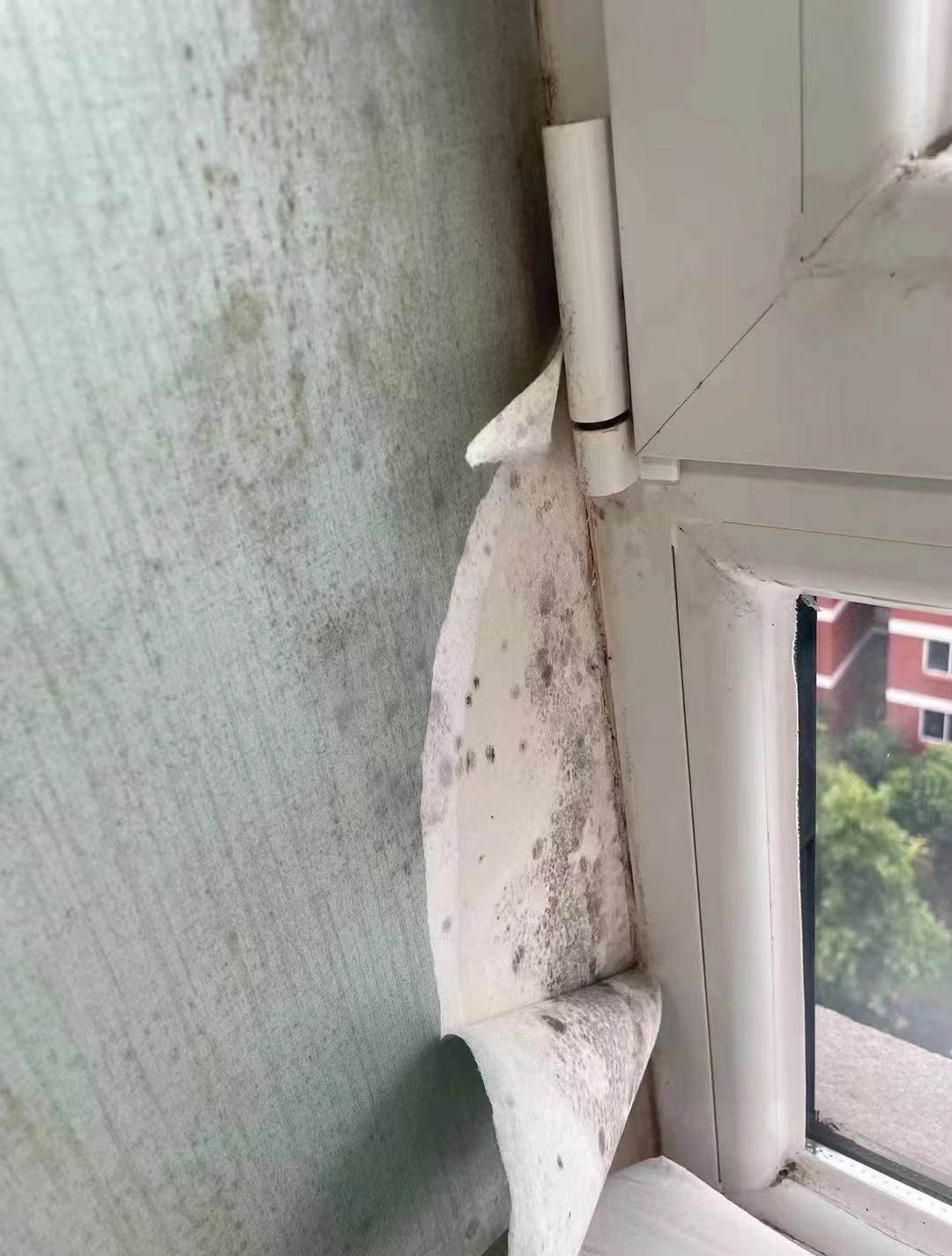 5个“正消失”在中国家庭的卧室产物，时代趋势谁也躲不过！