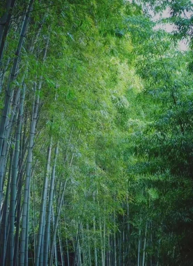 五一的常州,常州的五一