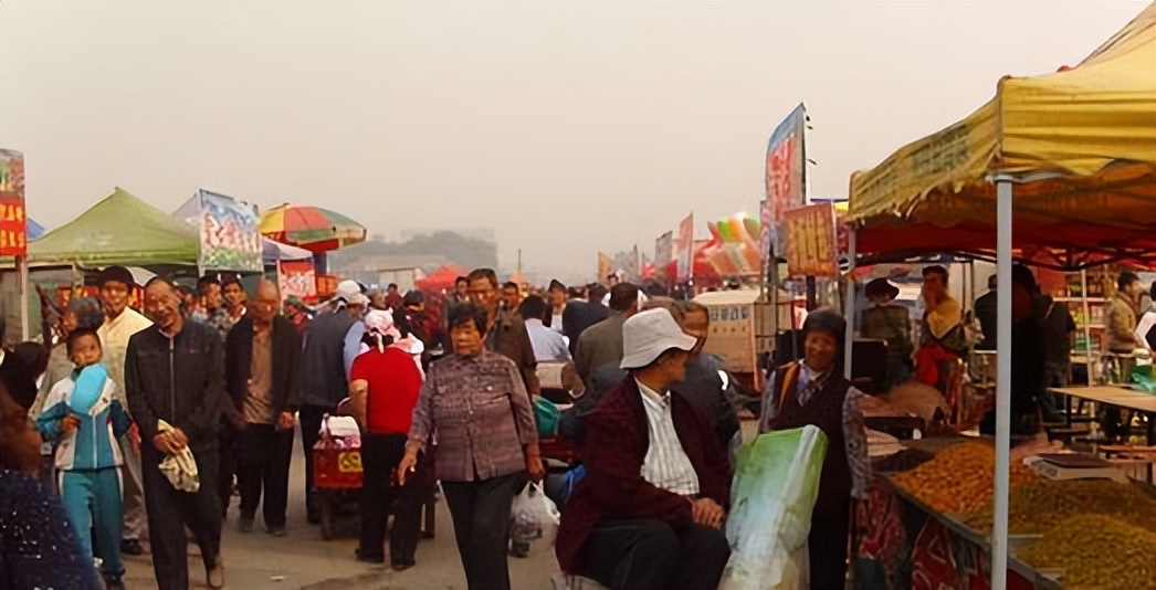 我亲身经历的社会事件作文,社会经历和感悟