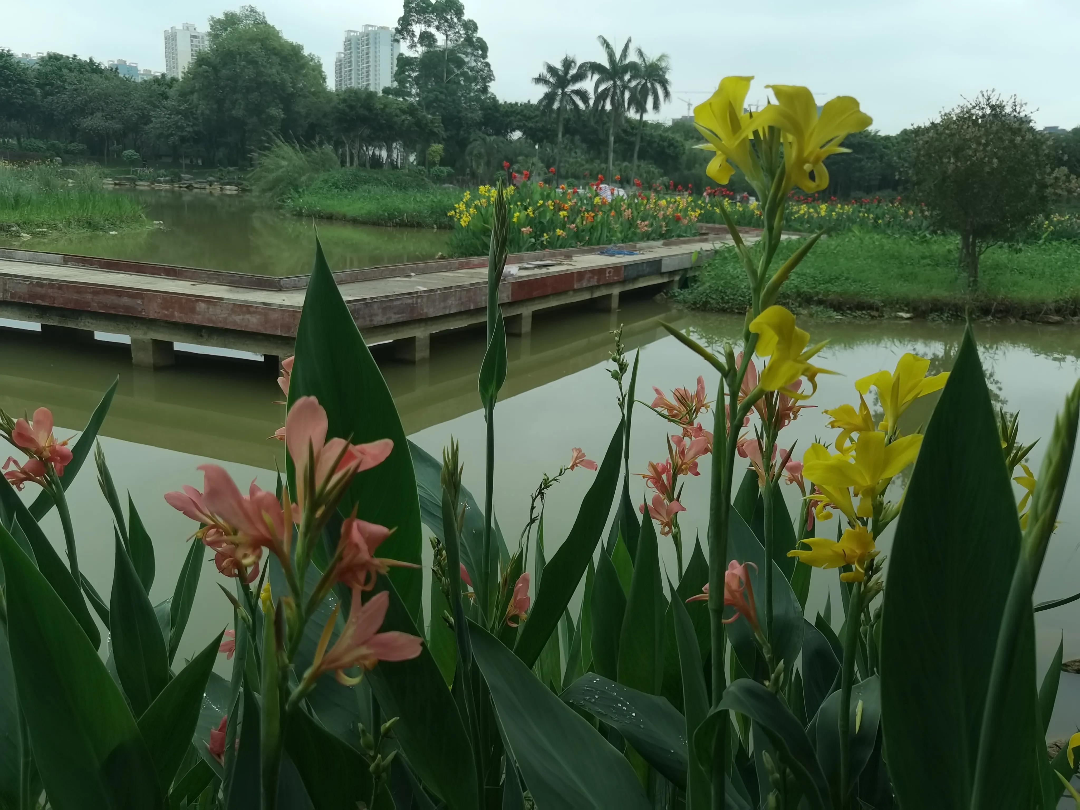 南宁是一个什么样的城市,南宁是个什么样的城市