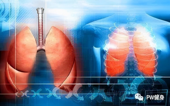 额外训练,路易斯练肌肉