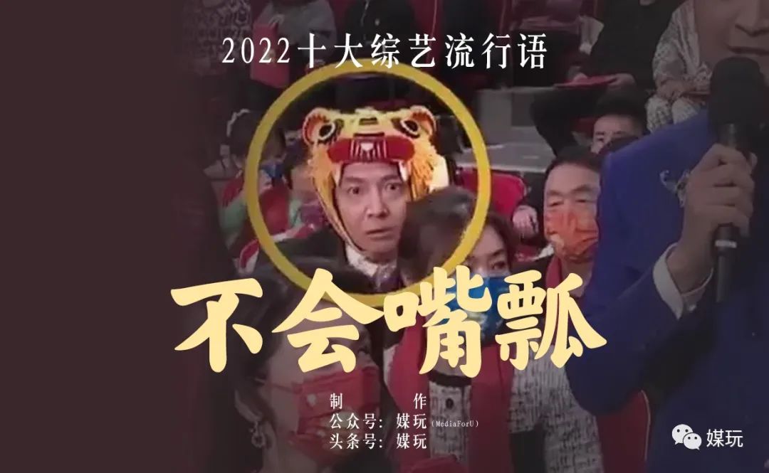 最流行的综艺梗,综艺十大流行语