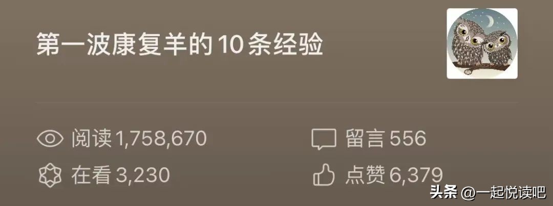 羊康复后如何进补,羊羊康复秘籍