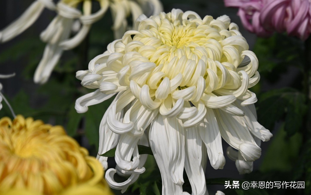 写文章结构思路,写文章的思路结构