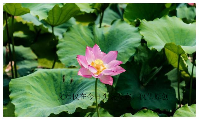 得了ED的人该如何调整好自己的心态，恢复到积极健康的生活状态？