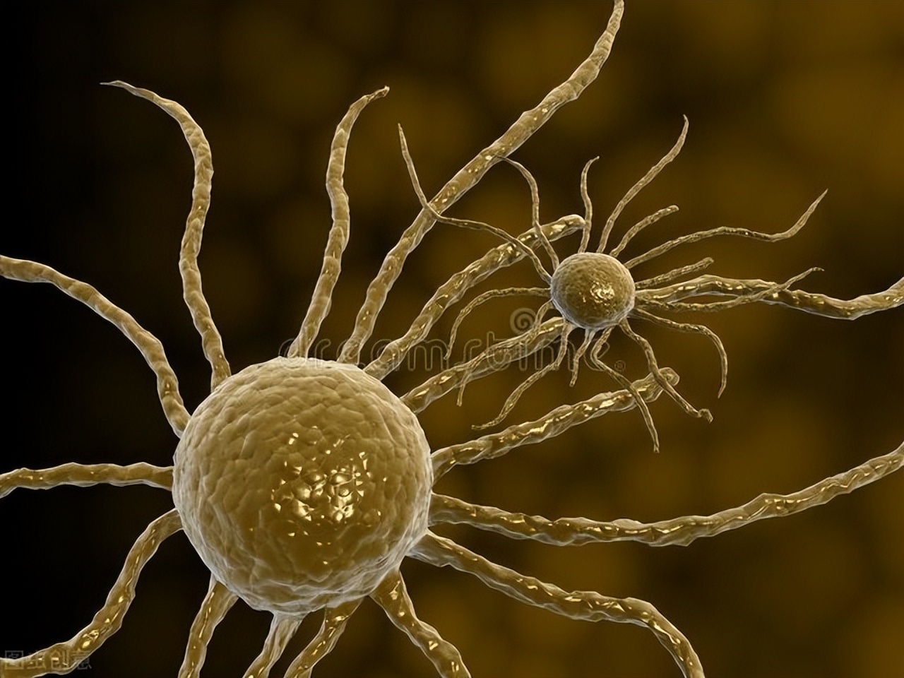 经常放屁是肝不好的表现视频,长期放屁多是肝不好的症状吗