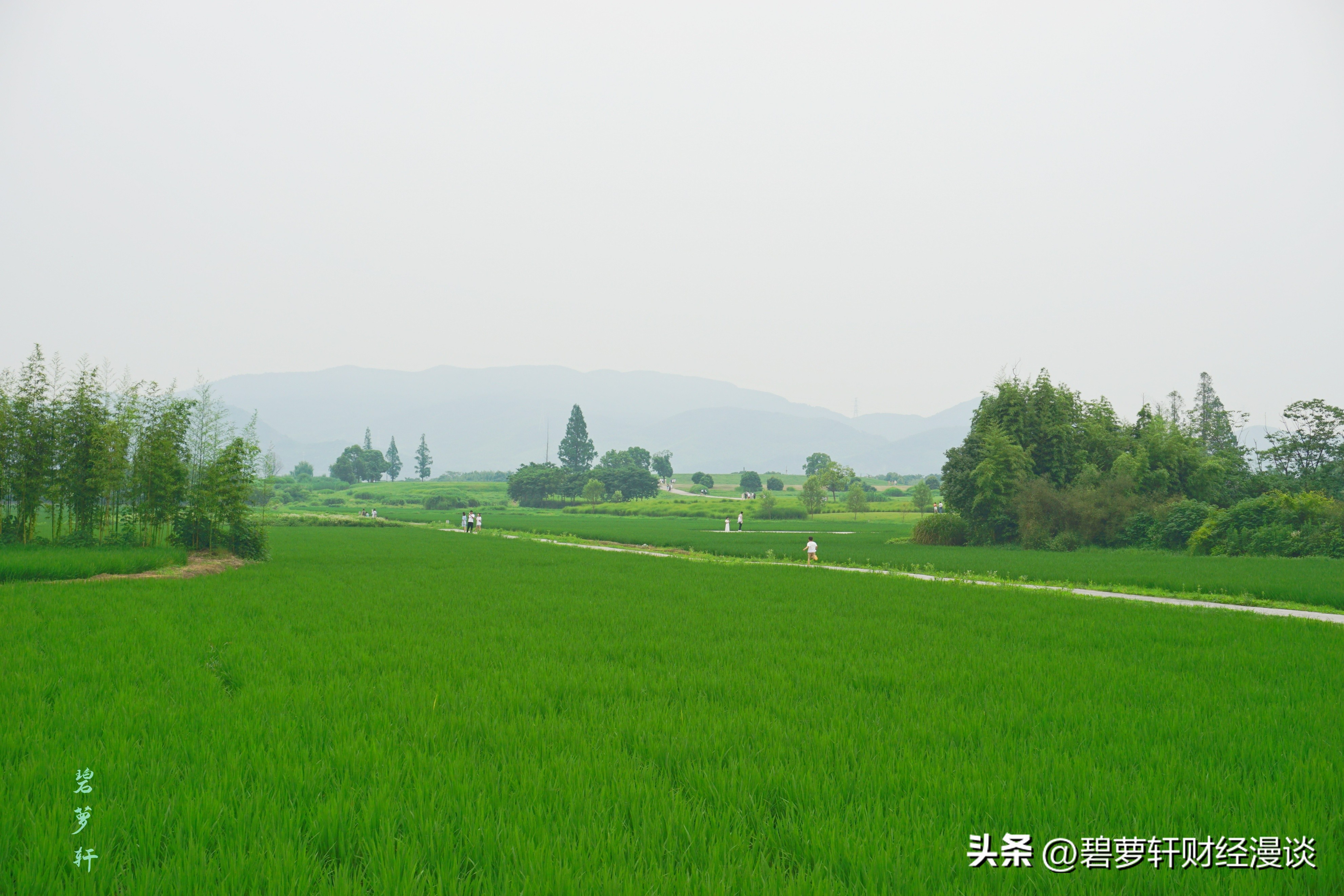 穿越5000年漫步良渚古城遗址公园,穿越千年探秘南粤